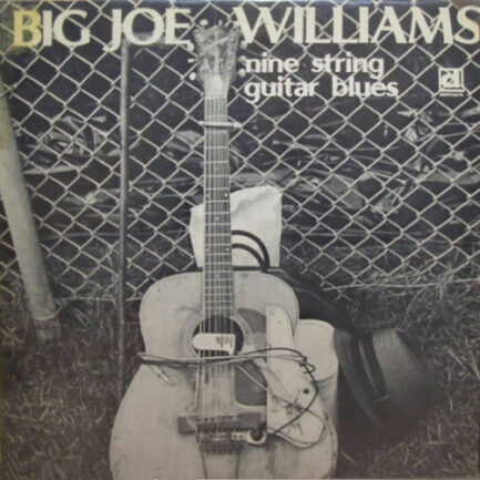 BİG JOE WİLLİAMS - Nine String Guitar Blues