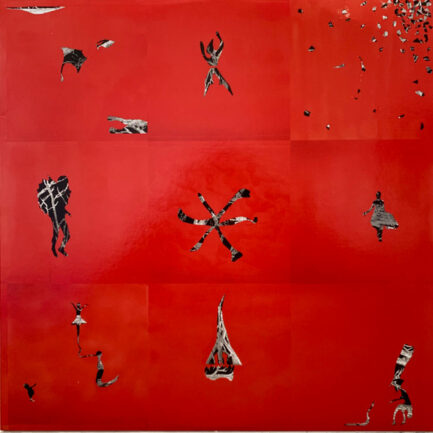 ANİMAL COLLECTİVE - Hollinndagain