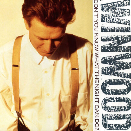 STEVE WİNWOOD - Don't You Know What The Night Can Do?