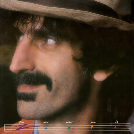 FRANK ZAPPA - You Are What You Is