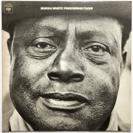 BUKKA WHİTE - Parchman Farm
