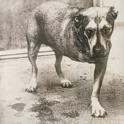 ALİCE İN CHAİNS - Alice In Chains