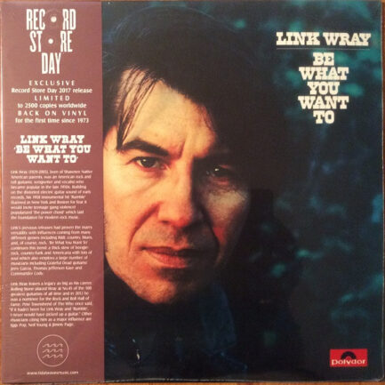 LİNK WRAY - Be What You Want To